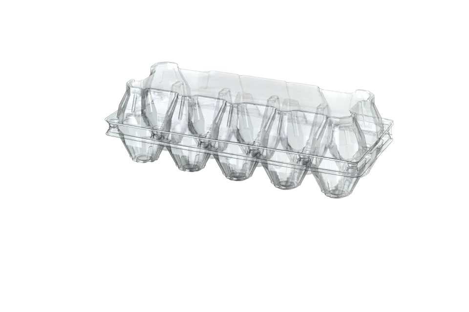 10 lu Yumurta Viyolü (500 Adet)