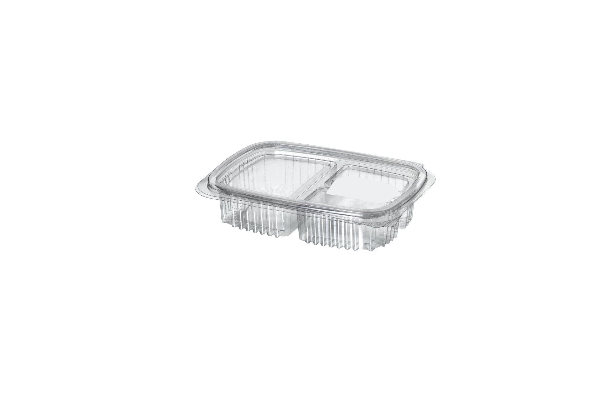 2 Bölmeli Sızdırmaz Peynir Kabı (800 Adet)