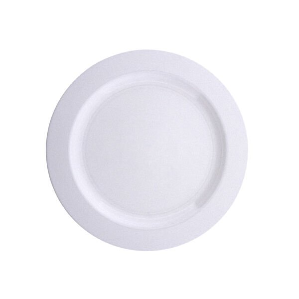 PL.R26 Plastik Tabak 26 cm PS (120 Adet)