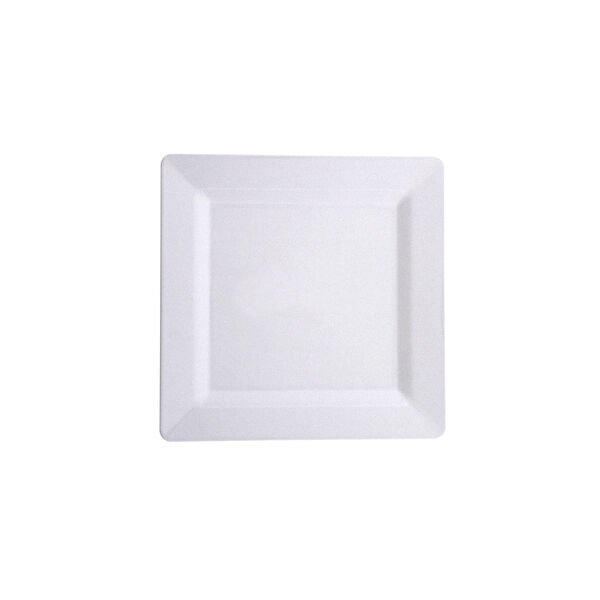 PL.S22 Kare Tabak 22 cm PS (100 Adet)