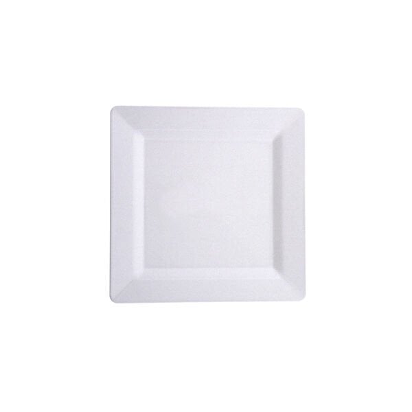 PL.S22 Square Plate 22 cm PS (100 Pieces)