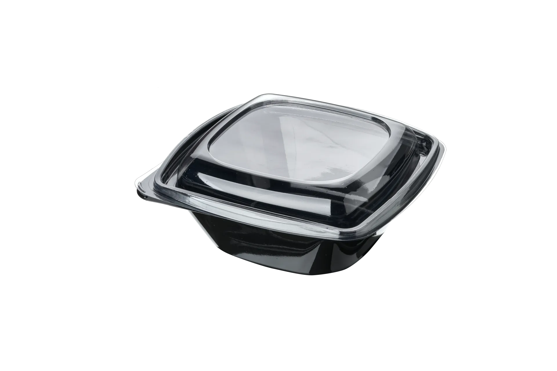 1000 cc Pet Square Salad Bowl Set (300 Pieces)