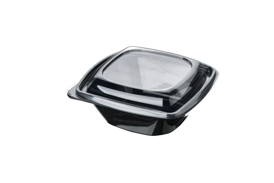 1000 cc Pet Square Salad Bowl Set (300 Pieces)