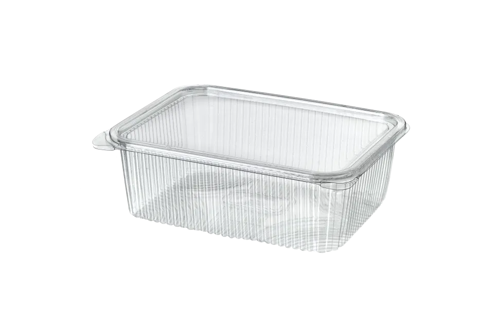 حاوية بلاستيكية محكمة الغلق سعة 2000 سم مكعب (200 قطعة)