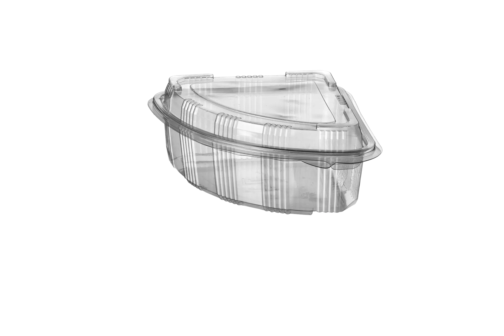 LEAKPROOF TRIANGLE MOLD CHEESE CONTAINER (300 Pcs)