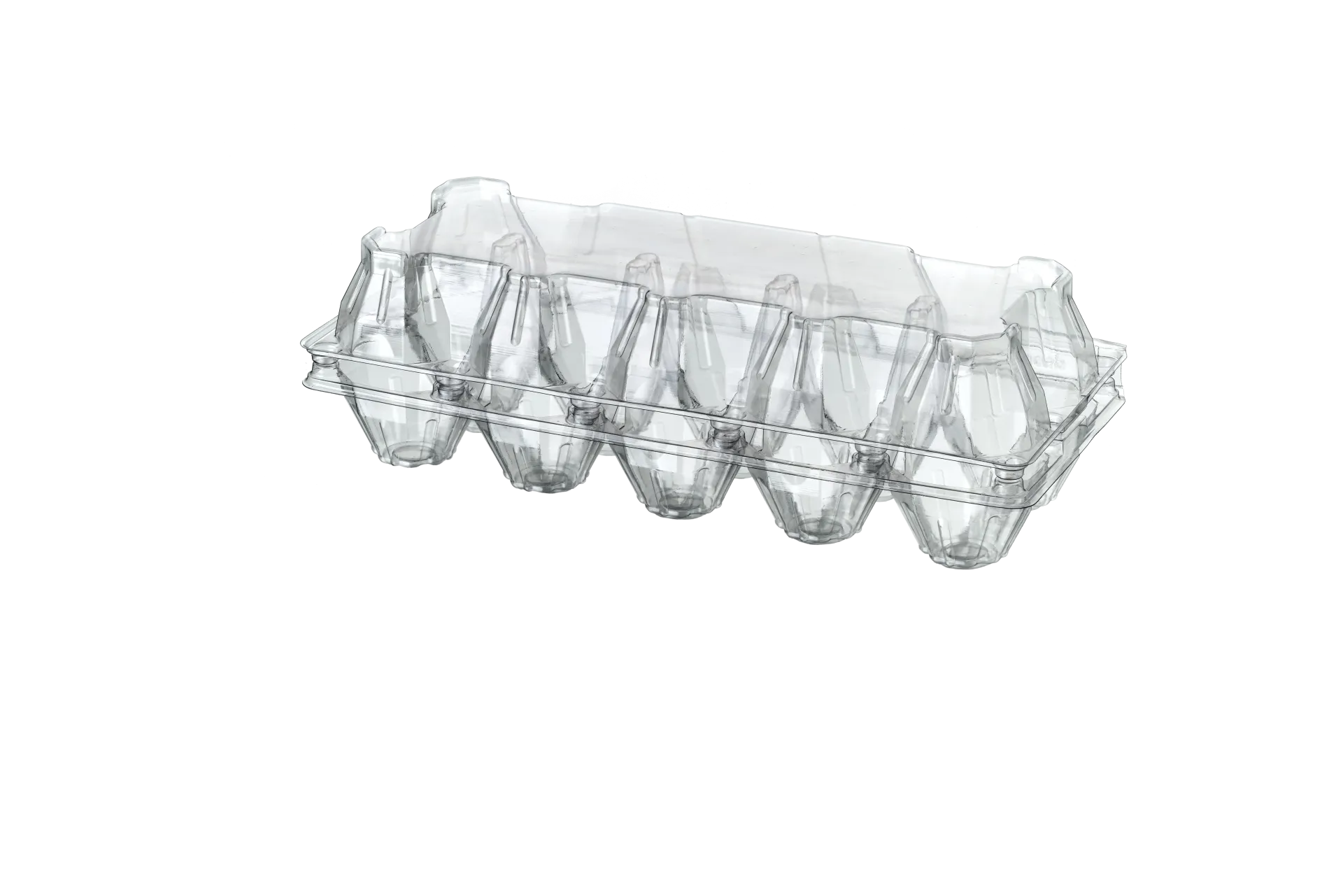 10 lu Yumurta Viyolü (500 Adet)