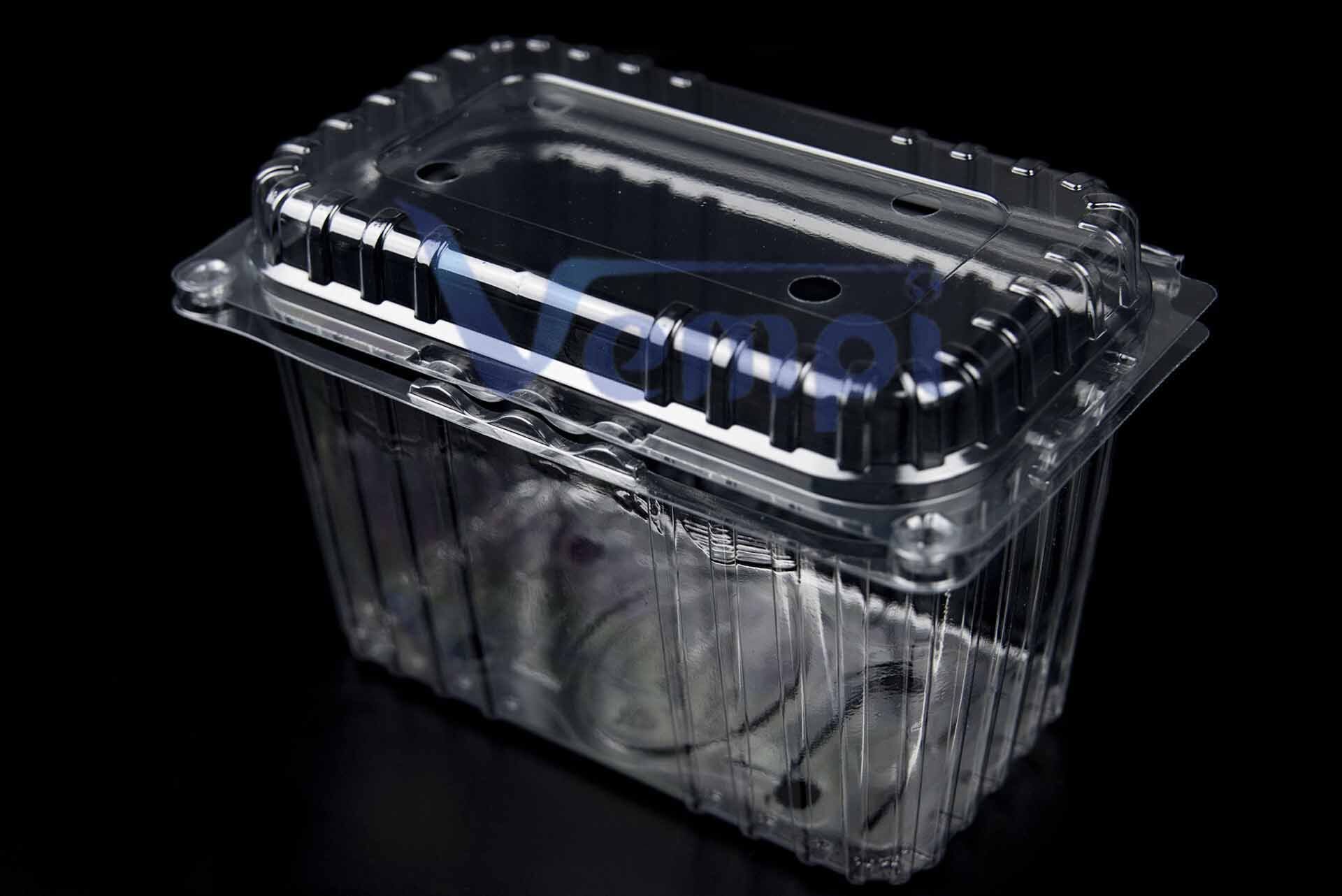Vempi 1000 gr Kapaklı Şale Kabı (600 Adet)